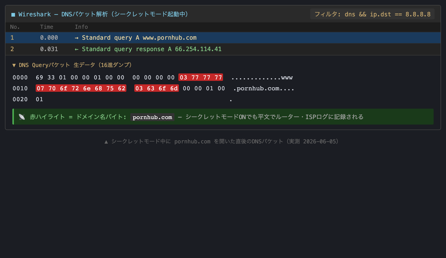 ▲ Pornhubへのアクセス時のDNSパケット（実測）。同様に平文で流れる